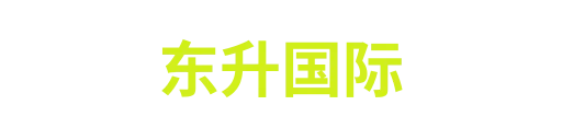 东升国际